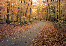 visit our Eastern Canada Gallery page